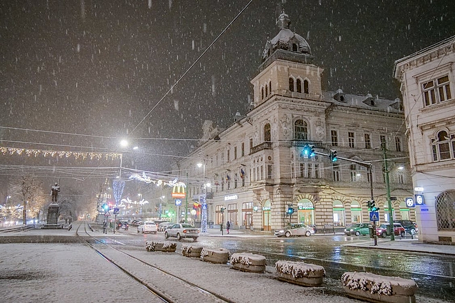 09. Pexels-Foto Nr. 10811598